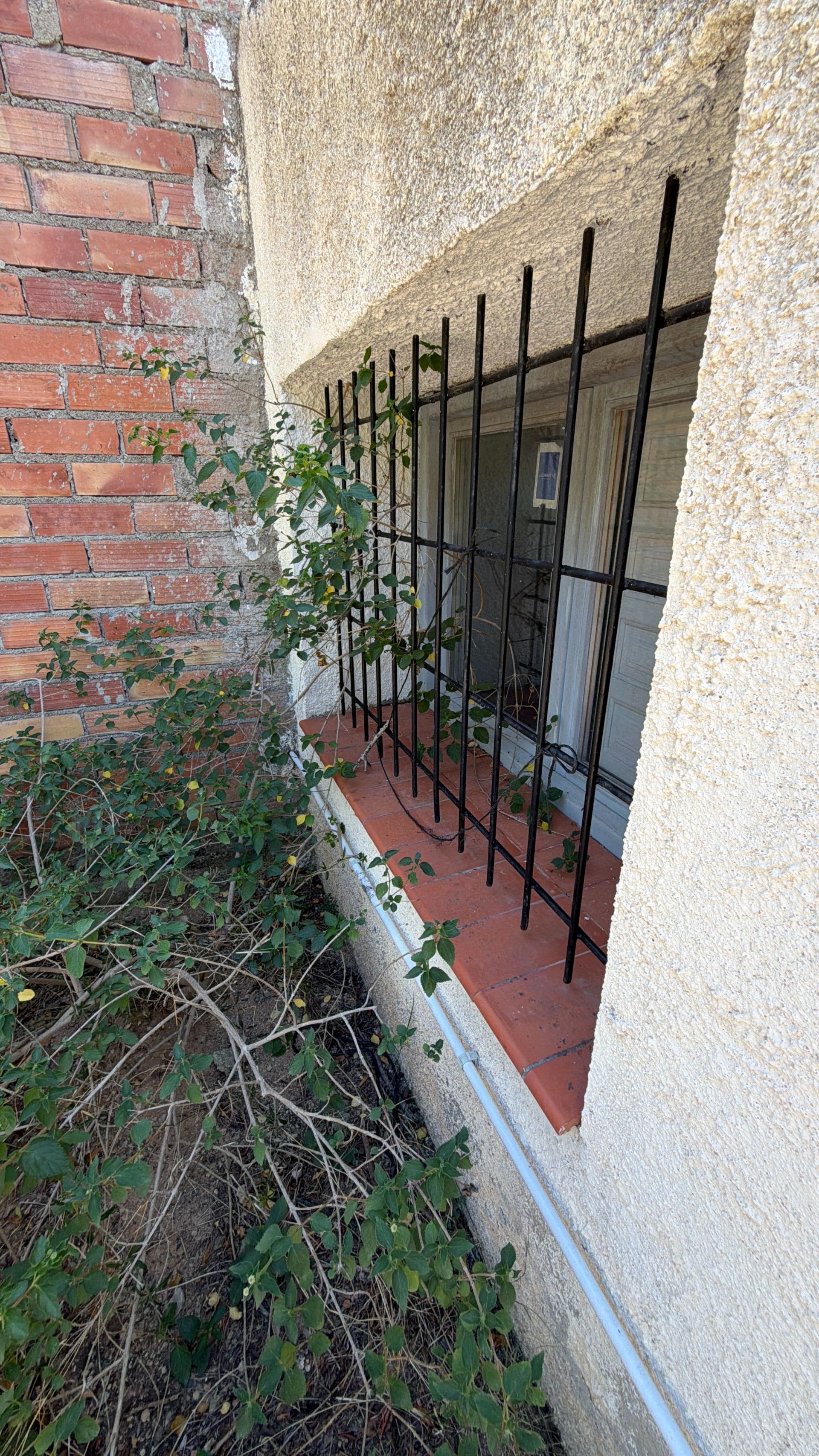 ++ Finca rustical en Vandellos ++ - Image 43